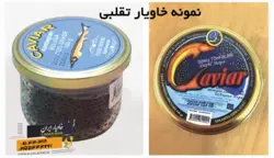خاویار اصل | خاویار 5 ستاره ایران