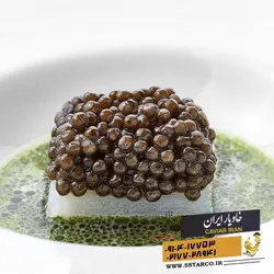 شکل ظاهری خاویار | عکس خاویار | خاویار 5 ستاره ایران