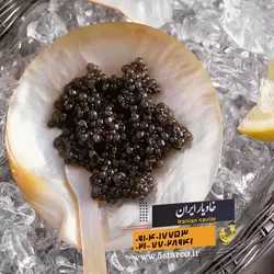 علت گرانی خاویار چیست؟ | خاویار 5 ستاره ایران