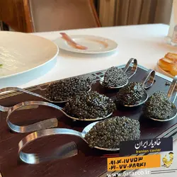 خواص خاویار برای اعضاء خانواده | خاویار 5 ستاره ایران