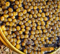 خاویار آسترا دریایی