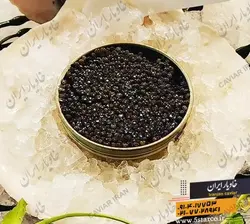 خاویار بری دریایی