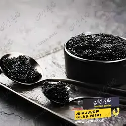 قیمت و خرید بهترین خاویار فشرده | خاویار 5 ستاره ایران