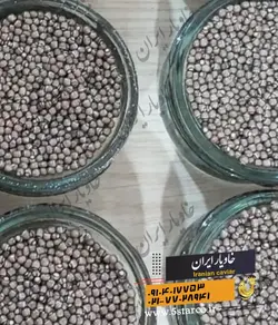 اثرات جوان سازی و ضد پیری خاویار | خاویار 5 ستاره ایران