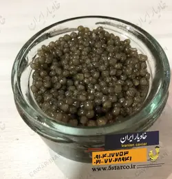 مضرات خاویار | خاویار 5 ستاره ایران