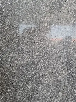 اسپراخون سابیده