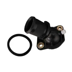 درب ترموستات با اورینگ 405 رادیکال پارس