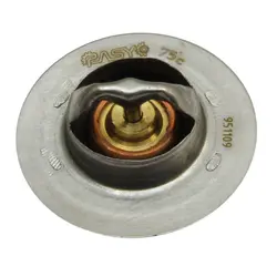 ترموستات 75 درجه 405 رادیکال پارس