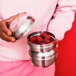 ظرف تنقلات استیل ایکیا مدل IKEA-Lattuggad