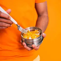 ظرف تنقلات استیل ایکیا مدل IKEA-Lattuggad