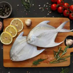 ماهی حلوا سفید (زبیدی)