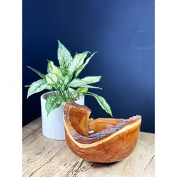میوه خوری روستیک مدل لبه پوستی چوب سنجد kn06