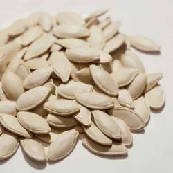 بذر کدو آجیلی گوشتی