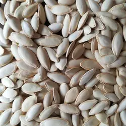 بذر کدو آجیلی گوشتی