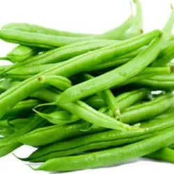 بذر لوبیا سبز نسل دوم خارجی