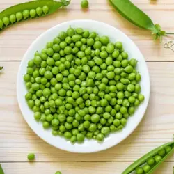 بذر نخود فرنگی کی سی