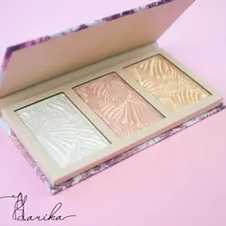 پالت  هايلايتر پلنت (planet) رولوشن