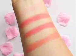 پالت رژگونه تکنیک مدل mega blush
