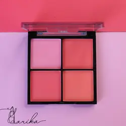 پالت رژگونه تکنیک مدل mega blush