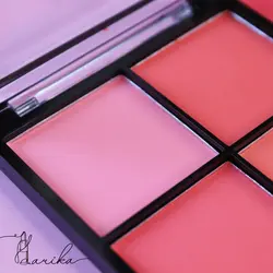 پالت رژگونه تکنیک مدل mega blush