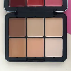 پالت کانتور و رژگونه فیوچر میکاپ