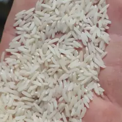 برنج هاشمی ارگانیک آستانه 10 کیلویی درجه یک معطر