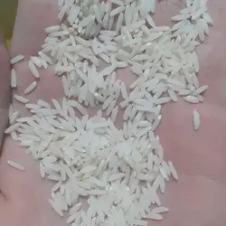 برنج هاشمی ارگانیک آستانه 10 کیلویی فوق اعلا درجه یک