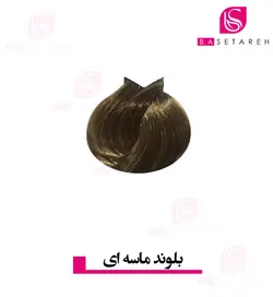 رنگ موی بلوند ماسه ای Renee Blanche 7.31S