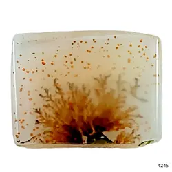 نگین شجر معدنی خاص و کمیاب کد 4245