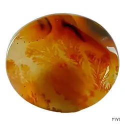 نگین شجر منظره دار خاص و کلکسیونی – کد 2171