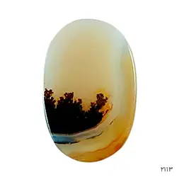 نگین شجر منظره دار خاص و کلکسیونی – کد 2113