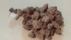 پوکه فندقی طلایی قروه