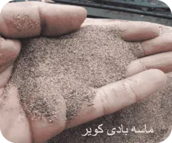 ماسه بادی کویر