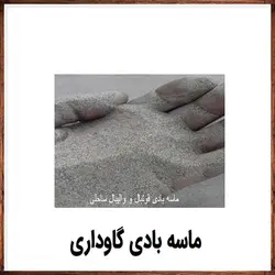 ماسه بادی گاوداری