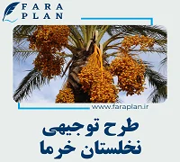 طرح توجیهی پرورش خرما - فراپلن