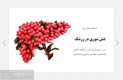 پاورپوینت تنش شوری در زرشک – درس : فیزیولوژی تنش در گیاهان باغبانی