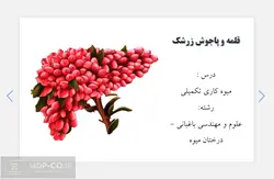 پاورپوینت قلمه و پاجوش زرشک – درس : میوه کاری تکمیلی