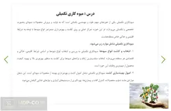 پاورپوینت قلمه و پاجوش زرشک – درس : میوه کاری تکمیلی