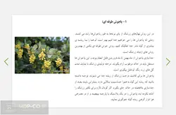 پاورپوینت قلمه و پاجوش زرشک – درس : میوه کاری تکمیلی