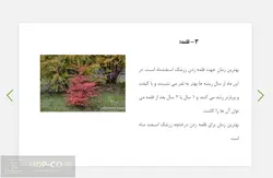 پاورپوینت قلمه و پاجوش زرشک – درس : میوه کاری تکمیلی
