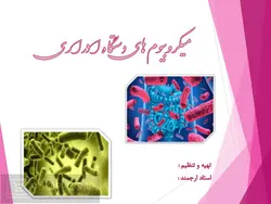 پاورپوینت میکروبیوم های دستگاه ادراری – روش ها، توالی، عفونت، سرطان و …