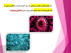 پاورپوینت میکروبیوم های دستگاه ادراری – روش ها، توالی، عفونت، سرطان و …