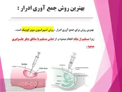 پاورپوینت میکروبیوم های دستگاه ادراری – روش ها، توالی، عفونت، سرطان و …