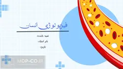 پاورپوینت دستگاه تنفسی در فیزیولوژی انسان – نای، حفره بینی و…