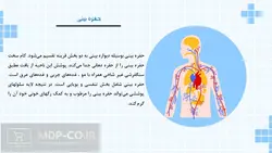 پاورپوینت دستگاه تنفسی در فیزیولوژی انسان – نای، حفره بینی و…