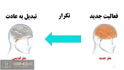 پاورپوینت بازاریابی عصبی – معرفی – عملکرد مغز و سایر موارد