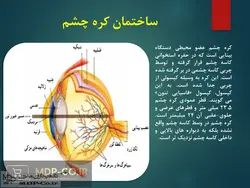 پاورپوینت بینایی – ساختمان چشم ، بیماری ها ، تشخیص و درمان