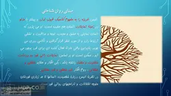 پاورپوینت نظریه رفتار درمانی عقلانی – عاطفی ( هیجانی ) الیس