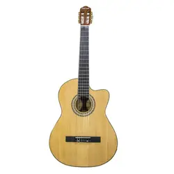 گیتار آگوستینی