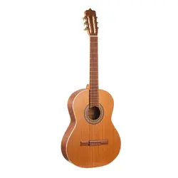 گیتار پارسی مدل D6